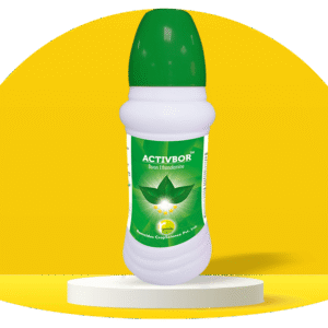 Actibor